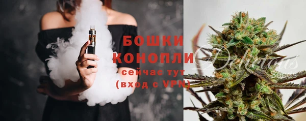 spice Абаза