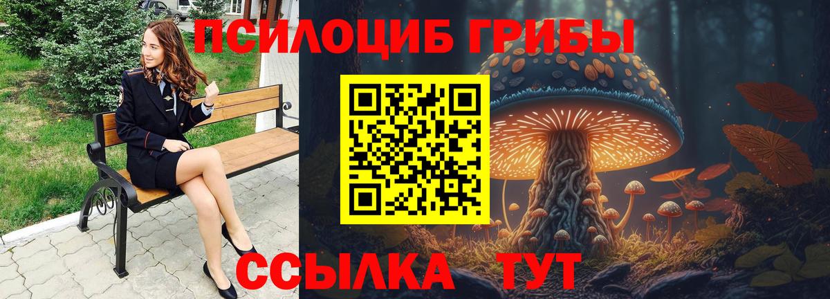 Моршанск  Псилоцибиновые грибы Psilocybe  Вход с VPN 